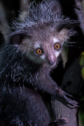 Madagascar 2022